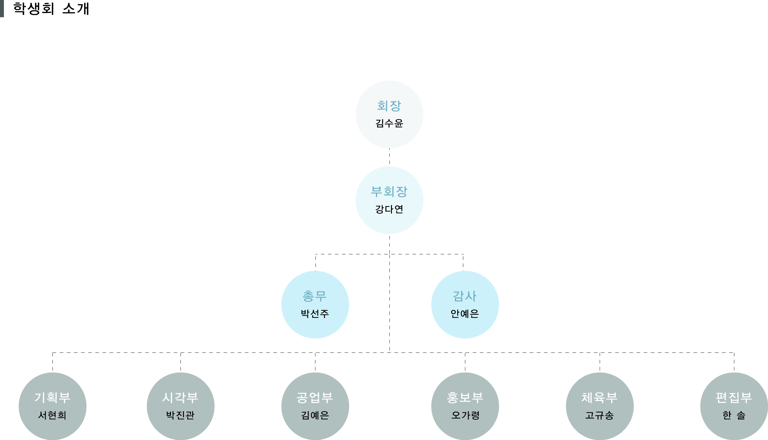 2017 학생회조직도